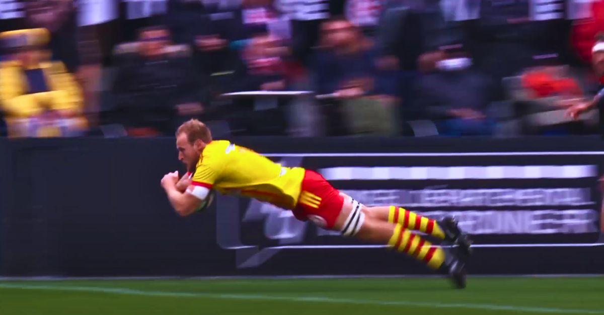 XV de France. Un Sud-Africain chez les Bleus pour défier les Blacks ? Galthié y pense(rait)