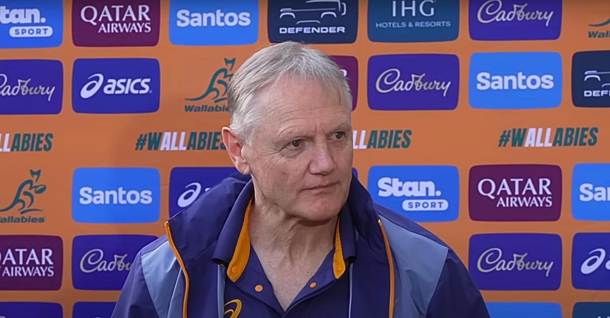 Rugby. Après la tournée des Lions, quel avenir pour Joe Schmidt à la tête des Wallabies ?