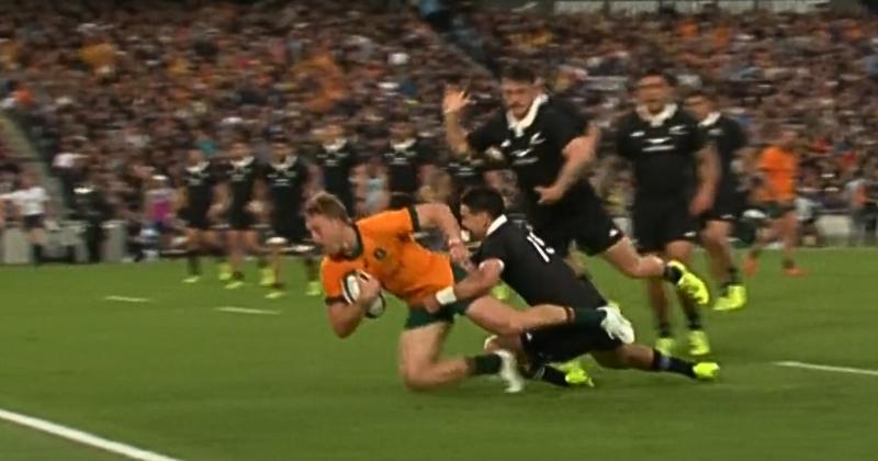 RUGBY. En pleine renaissance, les Wallabies peuvent-ils battre les All Blacks ?