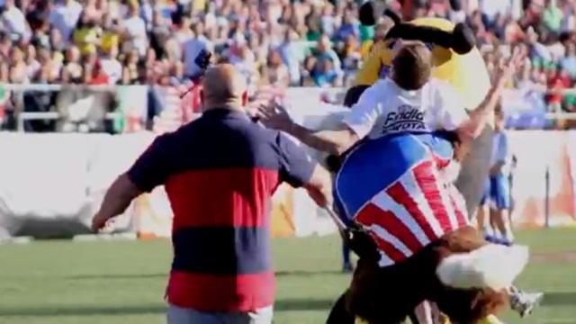 VIDEO. Un aigle met un tampon terrible à un spectateur espagnol