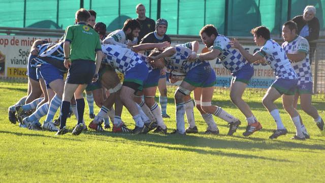 INSOLITE. Un club de rugby sanctionné après avoir emprunté un lama lors d'une 3e mi-temps